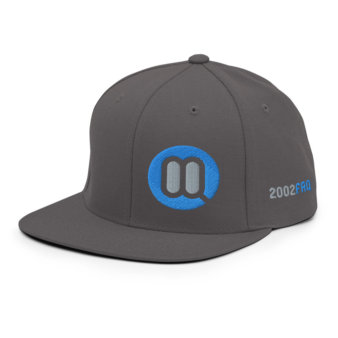 BMW 2002 FAQ Snapback Hat