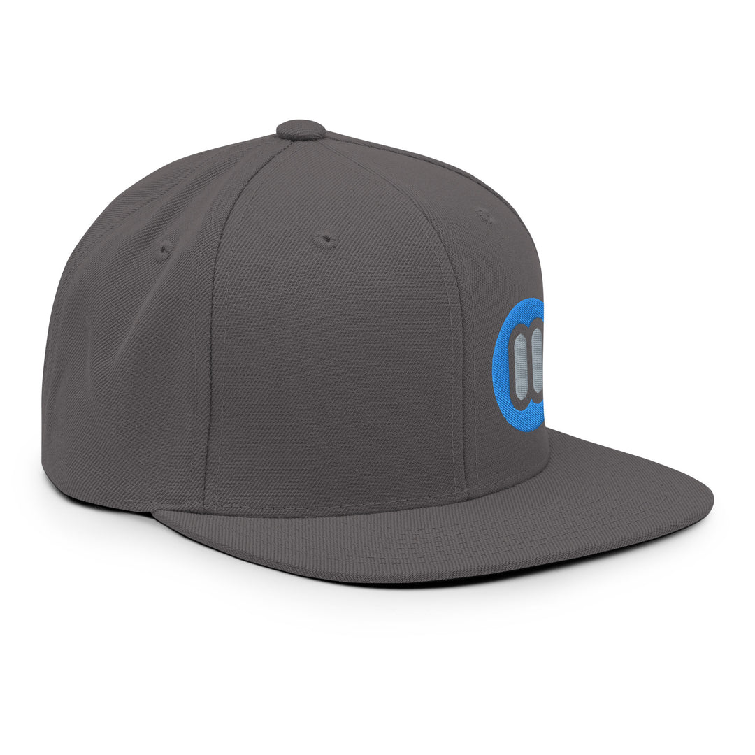 BMW 2002 FAQ Snapback Hat