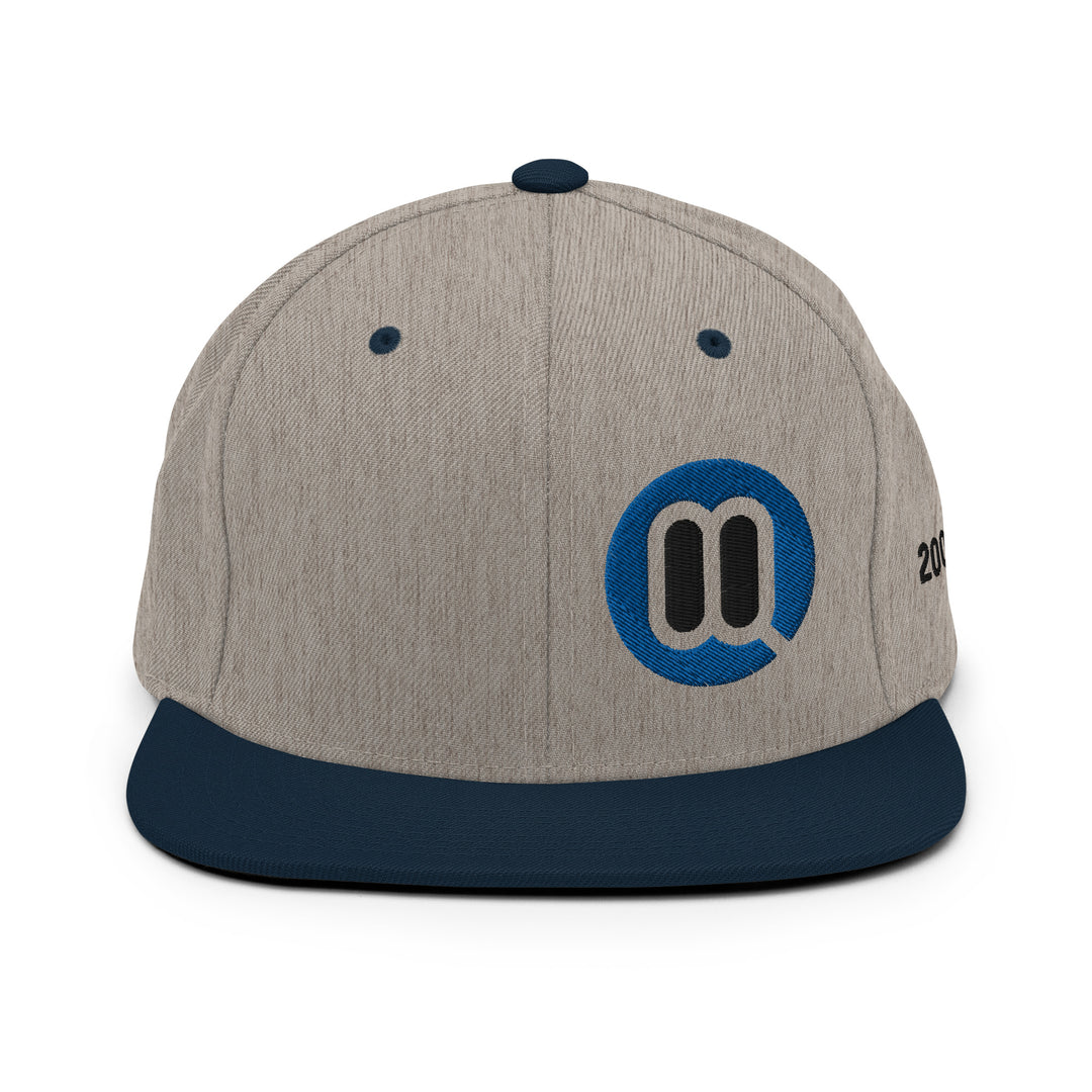 BMW 2002 FAQ Snapback Hat