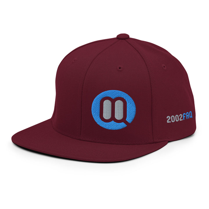 BMW 2002 FAQ Snapback Hat