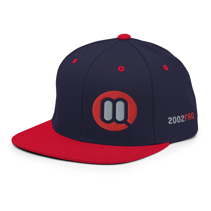 BMW 2002 FAQ Snapback Hat