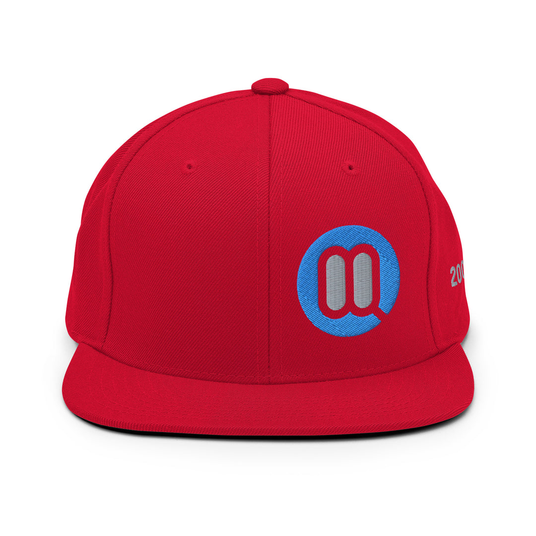 BMW 2002 FAQ Snapback Hat