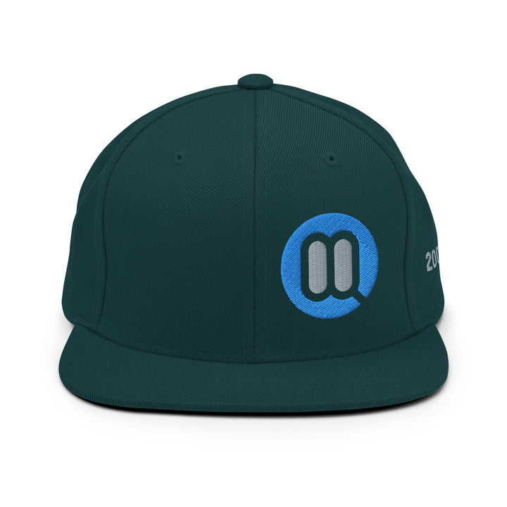 BMW 2002 FAQ Snapback Hat